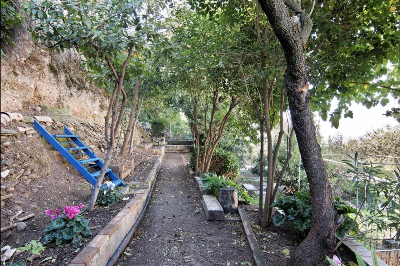 Апартаменти La Casita Del Albaicin Гранада Екстер'єр фото